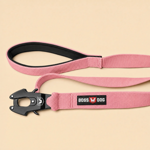ProSeries™  Leash