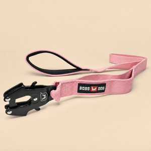 ProSeries™  Leash