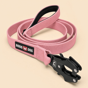 ProSeries™  Leash