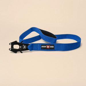 ProSeries™  Leash