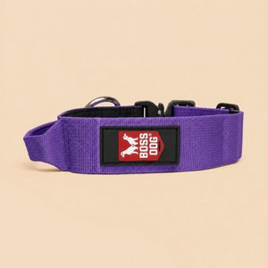 ProSeries™  Collar