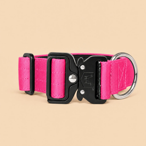 ProSeries™  Collar