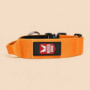 ProSeries™  Collar