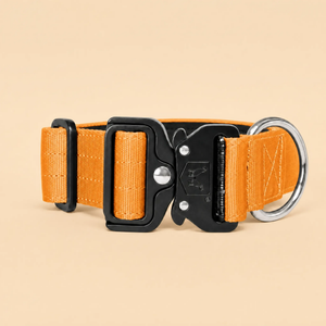 ProSeries™  Collar