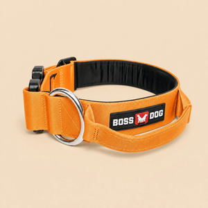 ProSeries™  Collar