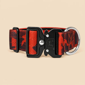 ProSeries™  Collar
