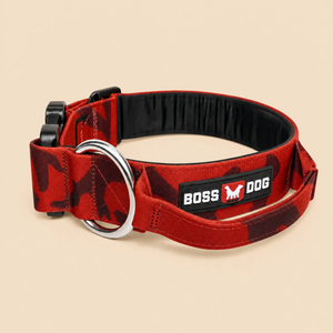 ProSeries™  Collar