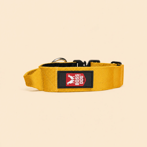 ProSeries™  Collar