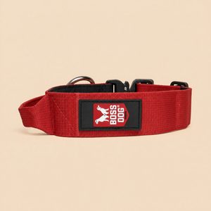 ProSeries™  Collar