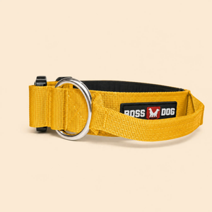ProSeries™  Collar