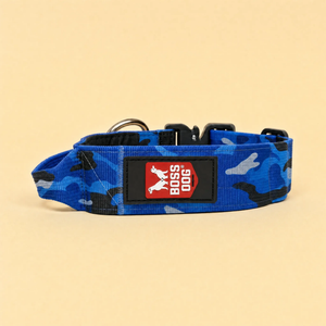 ProSeries™  Collar