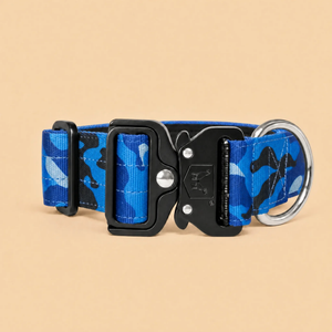 ProSeries™  Collar