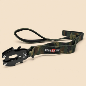 ProSeries™  Leash