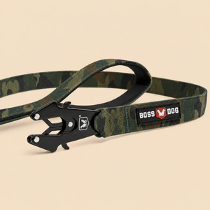 ProSeries™  Leash