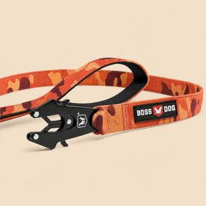 ProSeries™  Leash