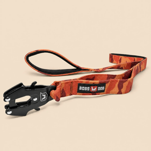 ProSeries™  Leash