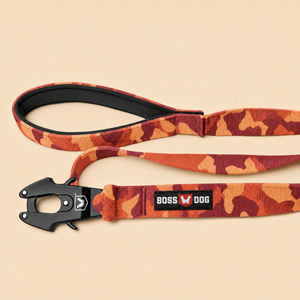 ProSeries™  Leash