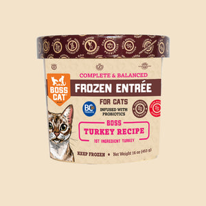 Frozen Cat Entrée