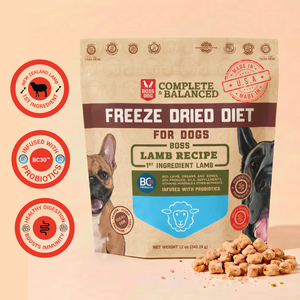Freeze Dried Dog Food & Topper w/ Probiotics