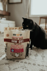For Cats