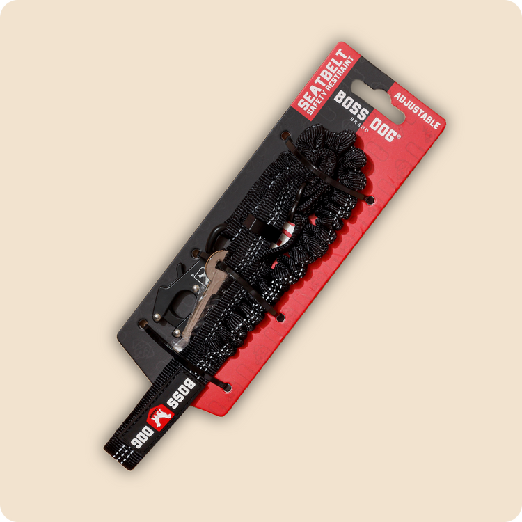 Seatbelt w/ Bungee for Car