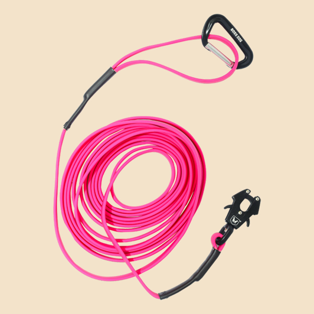 Unbreakable Tracking Leash