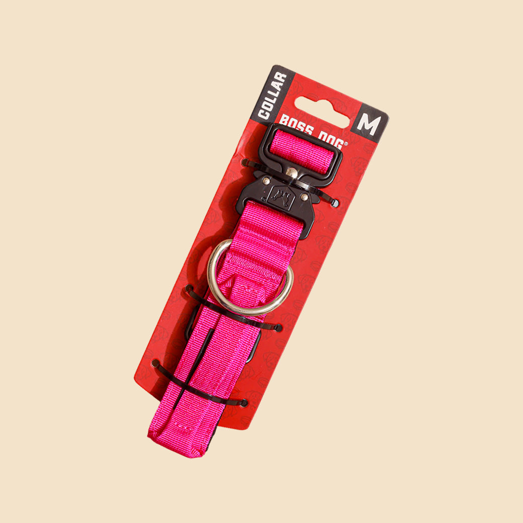 Unbreakable Collar