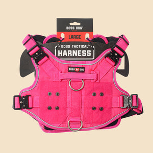 ProSeries™  Harness