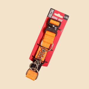 Martingale Collar