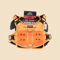 ProSeries™  Harness - Large