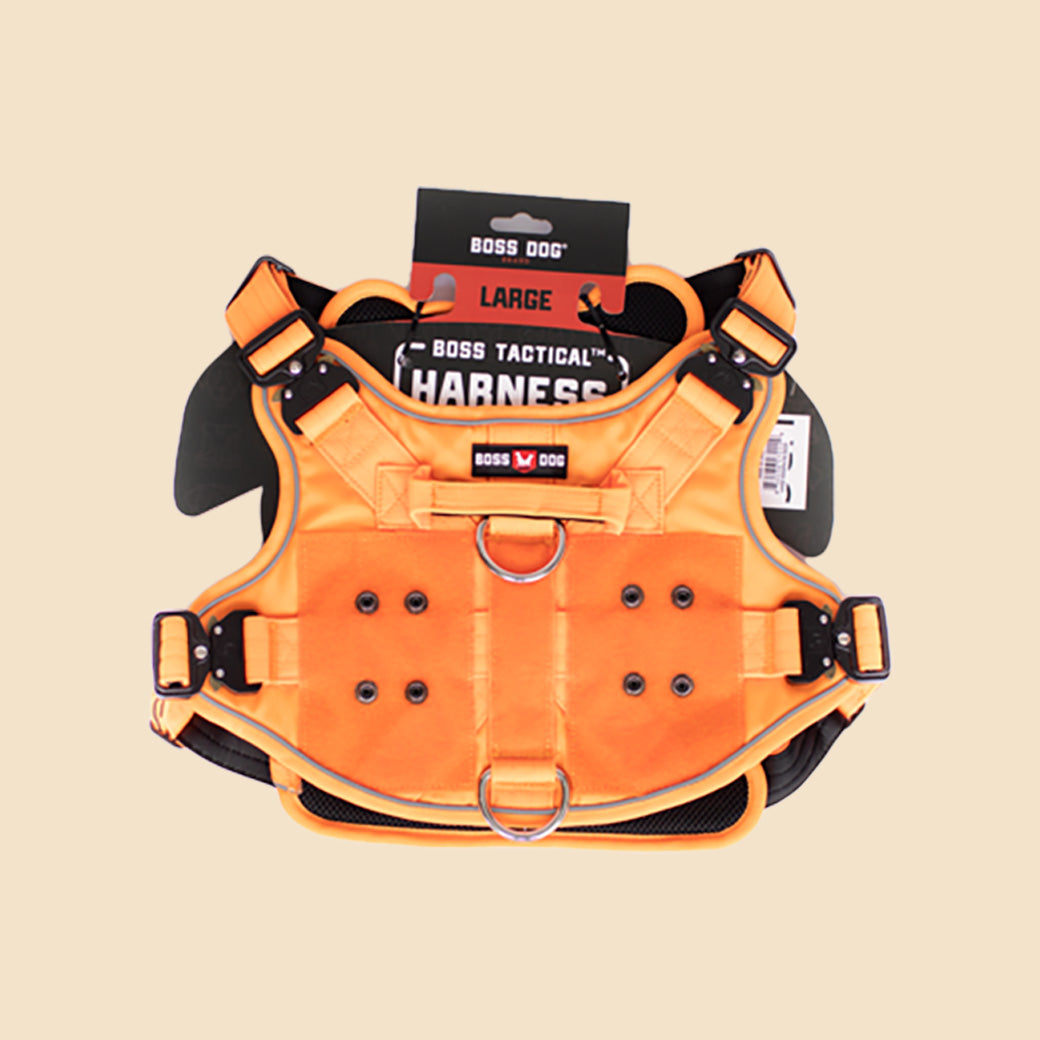 Unbreakable Harness