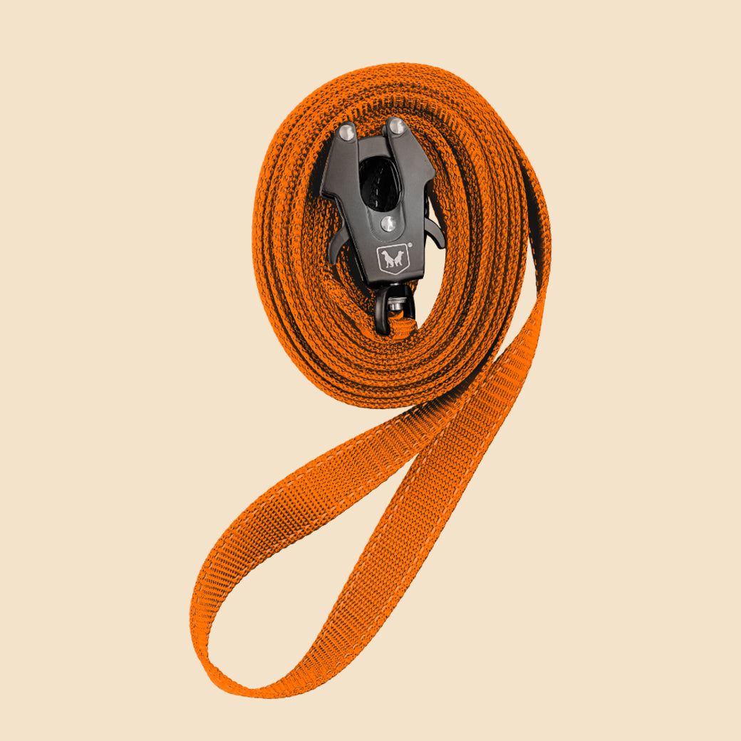 Unbreakable Tracking Leash
