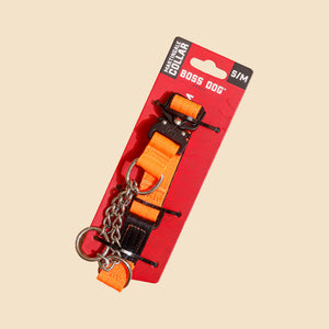 Martingale Collar