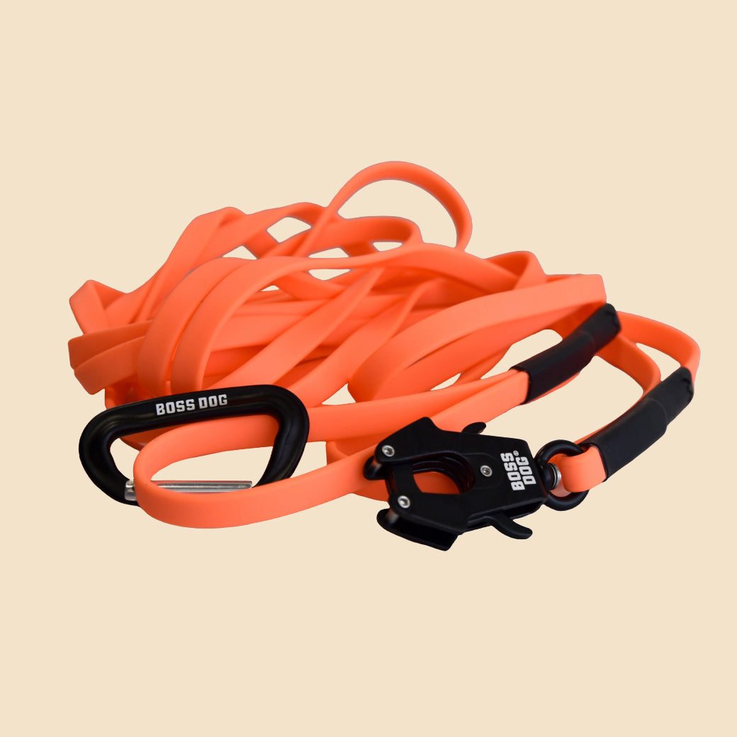 Unbreakable Tracking Leash