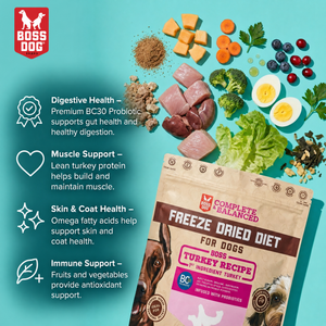 Freeze Dried Dog Food & Topper w/ Probiotics