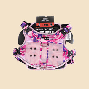 ProSeries™  Harness