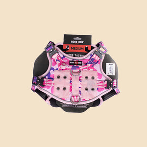 ProSeries™  Harness