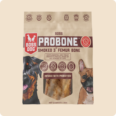 Probone Dental Chew w/ Probiotics