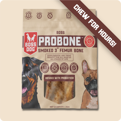 Probone Dental Chew w/ Probiotics