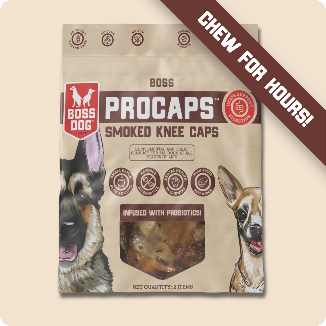 Procaps Dental Chew w/ Probiotics