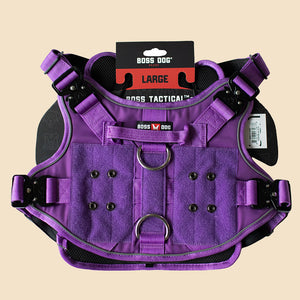 ProSeries™  Harness