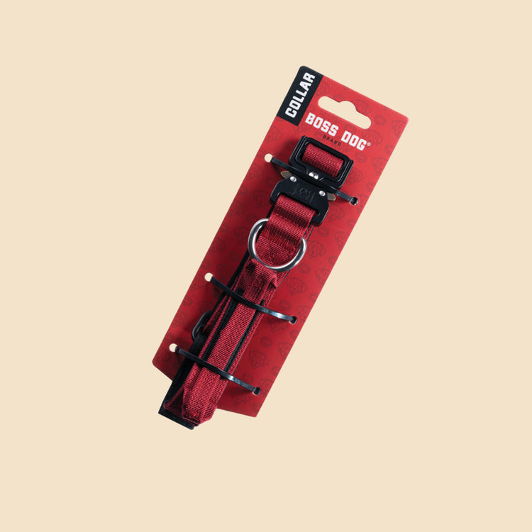 Unbreakable Collar - Small