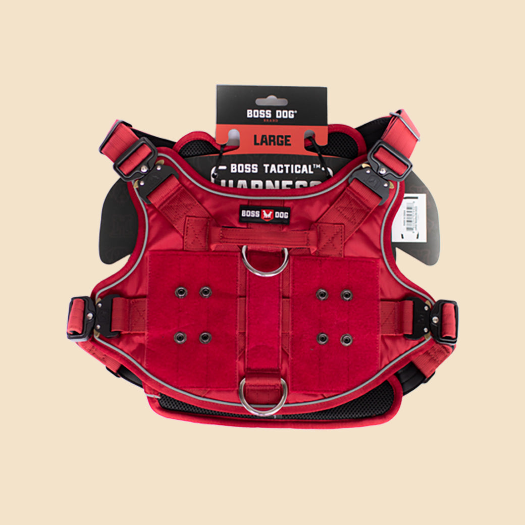 Unbreakable Harness