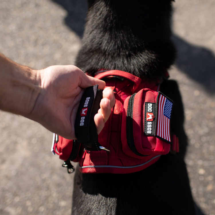 Control Handle For Harness