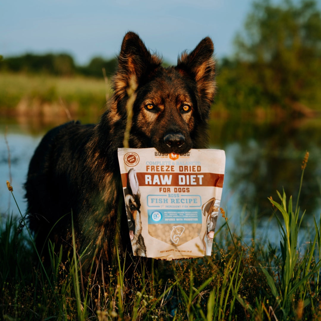 Freeze Dried Dog Food & Topper w/ Probiotics
