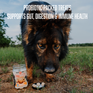 Proballs Treats w/ Probiotics