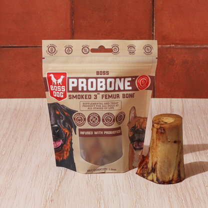 Probone Dental Chew w/ Probiotics