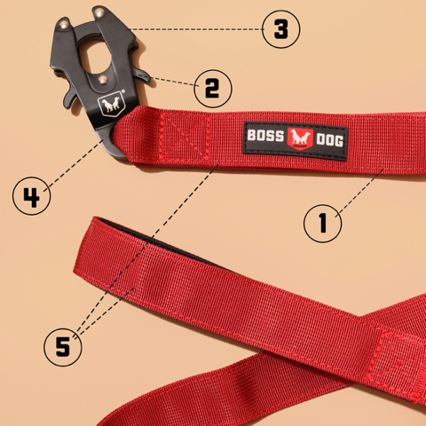 ProSeries™  Leash