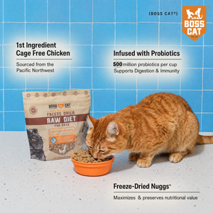 Freeze Dried Cat Food & Topper w/ Probiotics