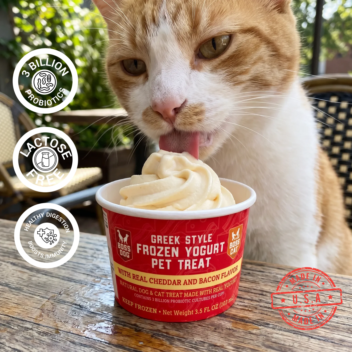 Frozen Greek Yogurt